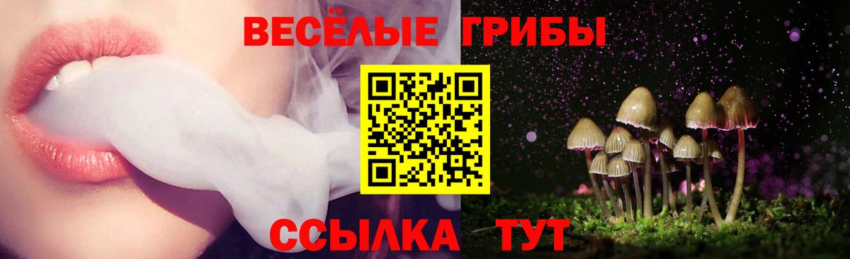 Галлюциногенные грибы Psilocybe  Вход с VPN  Похвистнево 